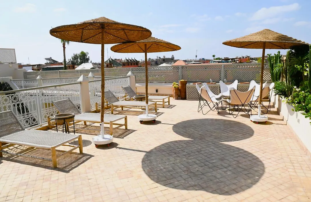 Riad Emberiza Sahari-1