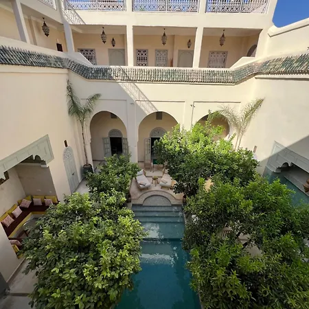 Riad Emberiza Sahari-3